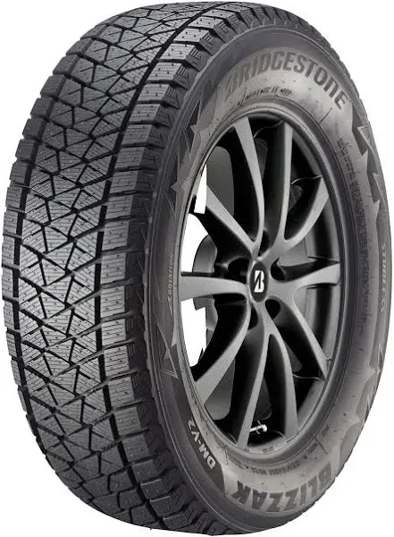 Bridgestone Blizzak DM-V2