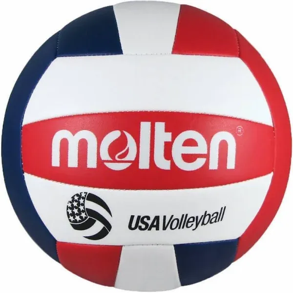 Molten Volleyball