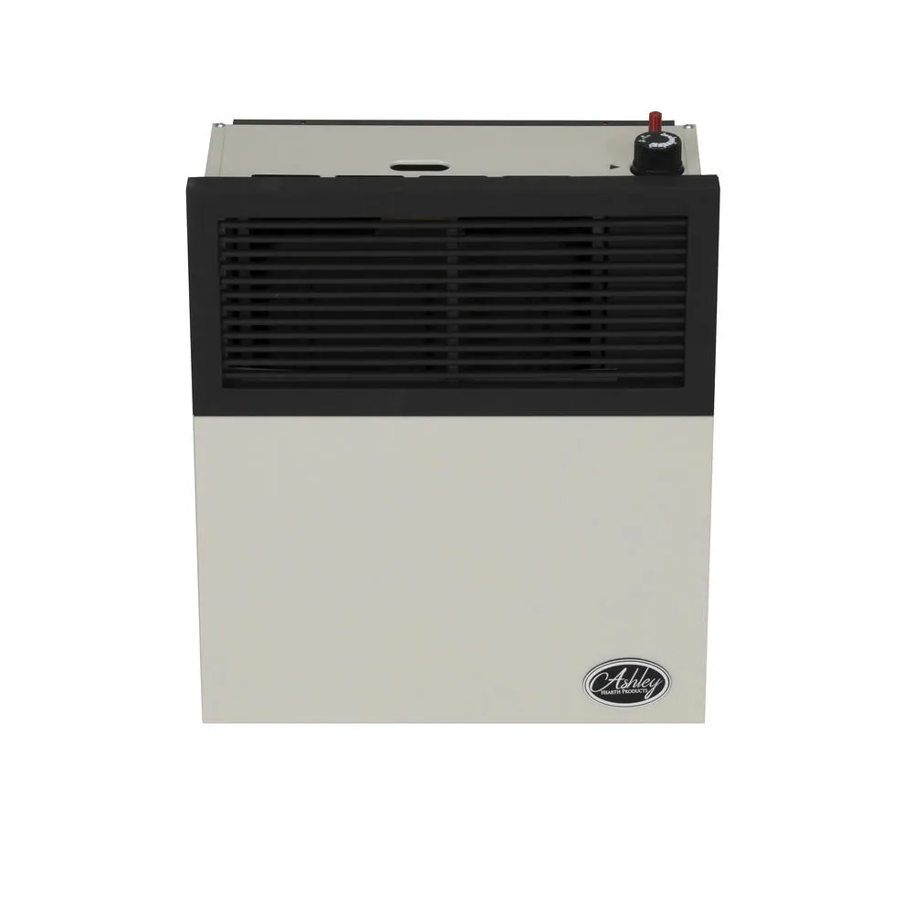 Ashley Hearth 11,000 BTU Direct Vent Heater