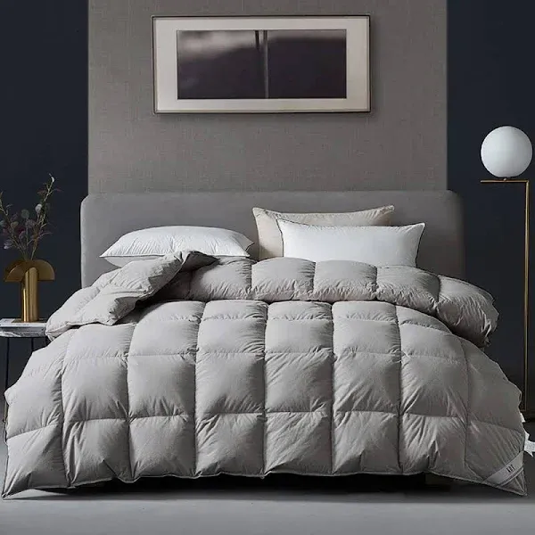 KRT Luxurious Goose Feathers Down Comforter - Grey Queen Size 50 Oz Medium Weight Duvet Insert - 100% Cotton Cover with 8 Corner Tabs (Queen All-Season, 90''x90'')