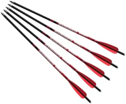 Barnett Head Hunter Arrows 20" Carbon Bolt