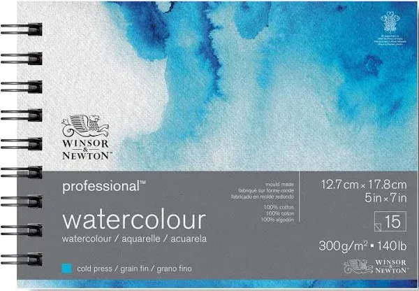 Winsor & Newton Professional Watercolor Block - 9" x 12", Rough Press