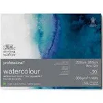 Winsor & Newton Professional Watercolor Paper Block, 9" x 12", Rough