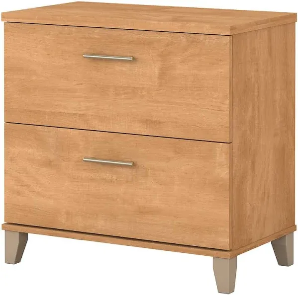 Wade Logan Anousha 2-Drawer Lateral Filing Cabinet