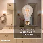 Bulbrite 25 Watt Dimmable Antique Nostalgic Loop Filament A19 Medium (E26) Incandescent Bulb, 4/Pack(861373)