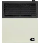 Ashley Hearth Products - 11,000 BTU Direct Vent Propane Heater