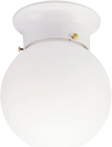 Westinghouse 66607 Ceiling Light Fixture