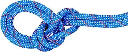 Mammut 9.5 Crag Classic Rope         w/ Free Shipping — 6 models