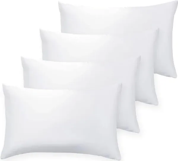  18 x 18 Throw Pillow Insert - Pack of 2 White, Down 18x18 Inch (Pack of 2)