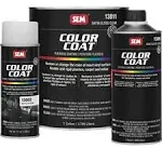 Color Coat - Plastic & Vinyl Flexible Coating, Presidio, 12 oz. Aerosol