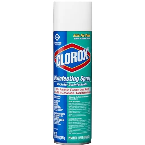 Clorox 19 oz Aerosol Disinfecting Spray