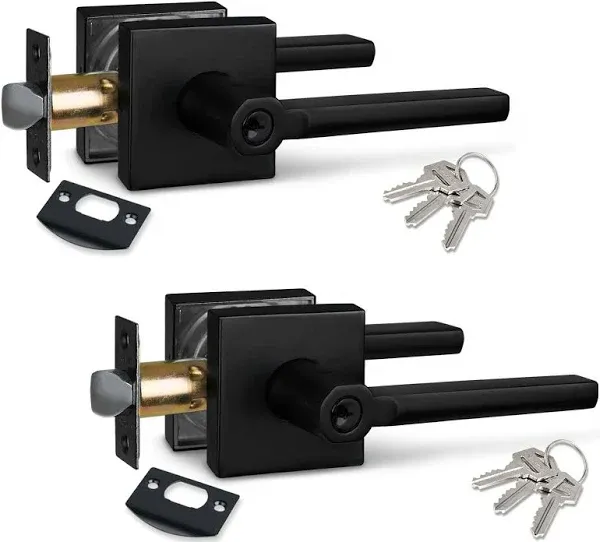 NEWBANG Door Lever Door Door Lock Handle in Aged Matt Black HD1601-DB-ET