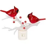 Humutan Cardinals on Branch 7 x 6 Inch Plastic Swivel Base Wall Plug in Decorative Night Light