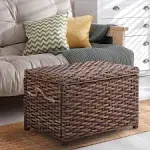 happimess Jacob 31.5" Handwoven Wicker Storage Trunk, Dark Brown Wash