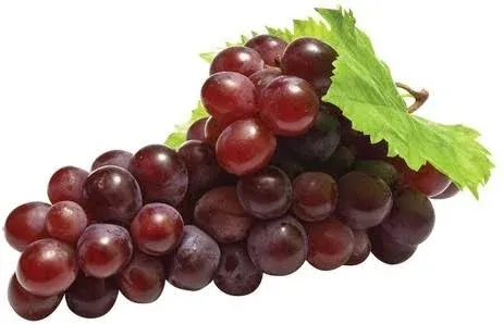 Red Seedless Grapes