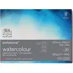 Winsor & Newton Professional Watercolor Block - 12" x 16", Hot Press