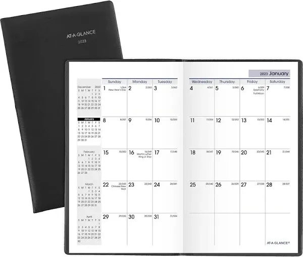 At-A-glance DayMinder Monthly Pocket Planner