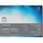 Winsor & Newton Professional Watercolor Block - 7" x 10", Hot Press