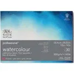 Winsor & Newton Professional Watercolor Block - 10" x 14", Hot Press