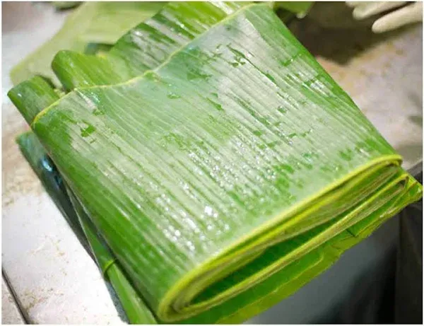 TastePadThai Fresh Banana Leaves