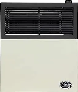 Ashley Hearth Products 11,000 BTU Direct Vent Liquid Propane Wall Mounted Heater with Piezo Lightning, Safety Pilot and Built In Regulator, Cream