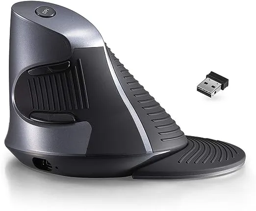 DeLUX Rechargeable Ergonomic Wireless Mouse Silent, 1600DPI, Reduce Hand and Wrist Pain, Vertical Mouse with USB Receiver and BT 5.0, 6 Buttons and Removable Palm Rest (M618G DB-Black)