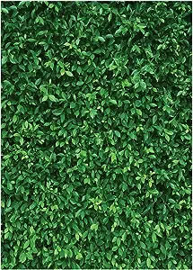 5x7FT Green Leaves Photography Backdrops Nature Leaf Backdrop Birthday Backgr...