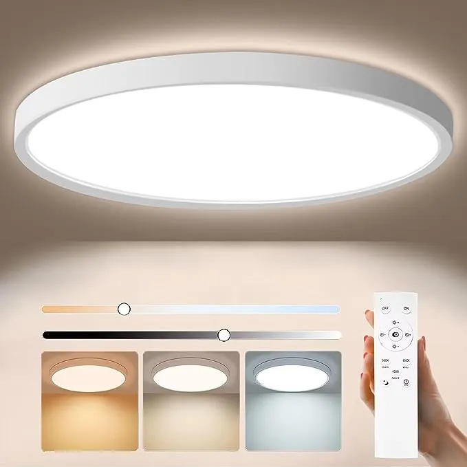 HELIOTION LED Flush Mount Ceiling Light with Remote Control, Close to Ceiling Light Fixtures, Ø12-Inch 24W 3000K/4000/6000K, Dimmable Ceiling Light for Bedroom,Living Room,Laundry,Pantry,Restaurant