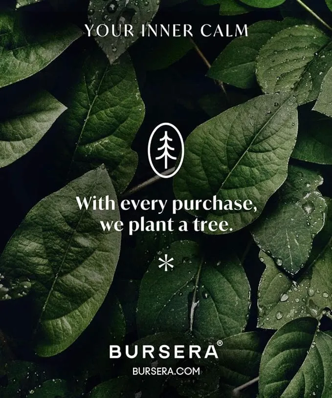 Bursera Essential Oil Diffusing Stone, Portable Non-Electric Essential Oil Diffuser, Tree Planted with Every Order, Natural Waterless Ceramic Diffuser for Essential Oils, Stone Aromatherapy Essentials