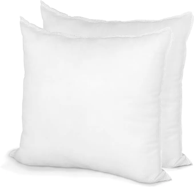 Hometex Canada Pillow Insert 19" x 19" Polyester Filled Standard Cover (2 Pack)