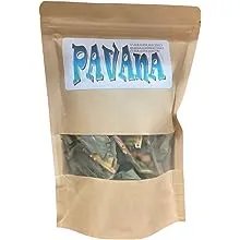 Pavana Herb | Croton Pavana | Wildcrafted from the Hills of Jamaica | Croton Tiglium | 100% Natural | Responsibly Harvested | Resealable Pouch for Freshness | 1ozPavana Herb | Croton Pavana | Wildcrafted from the Hills of…