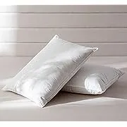 AIKOFUL Luxury Goose Feathers Down Pillows (Set of 2)