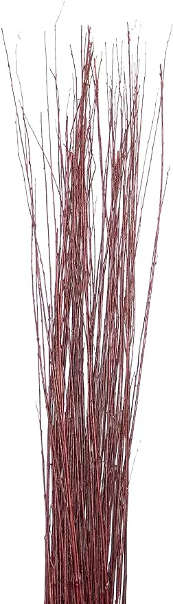 4-5 ft Wine Red Asian Willow Stems