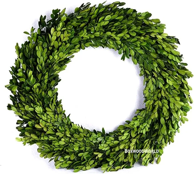 Boxwood Wreath Large 17 inch Preserved Nature Real Boxwood Wreath Home Decor