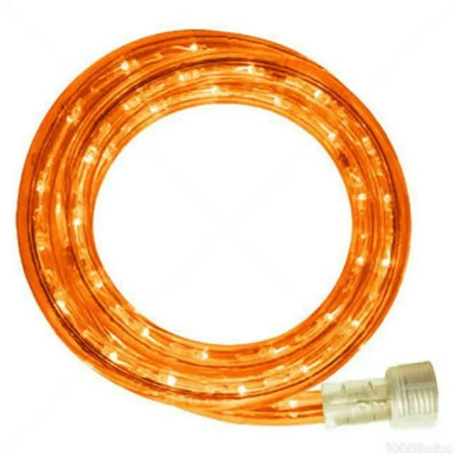 Wintergreen Lighting 18' LED Rope Light