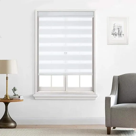 Everyday Celebration Cordless Light Filtering Zebra Roller Shades for Window, Free-Stop, Dual-Layer, Pull-Down Blind for Home, Bedroom, Living Room, Kitchen, Office, White 27x72 inches