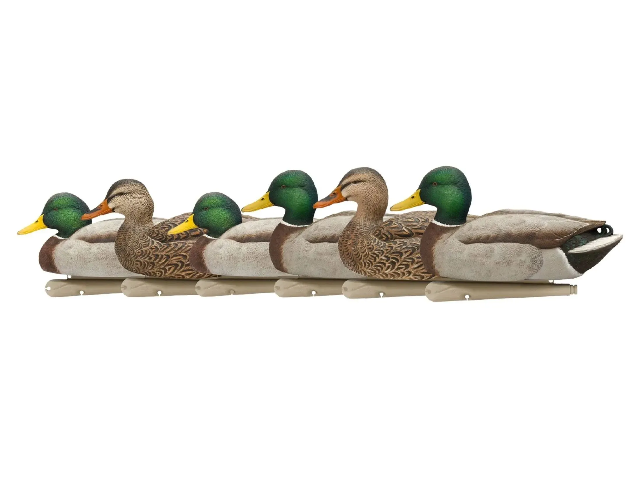 AVIAN X Open Water Mallard Floating Decoys - 6/PK