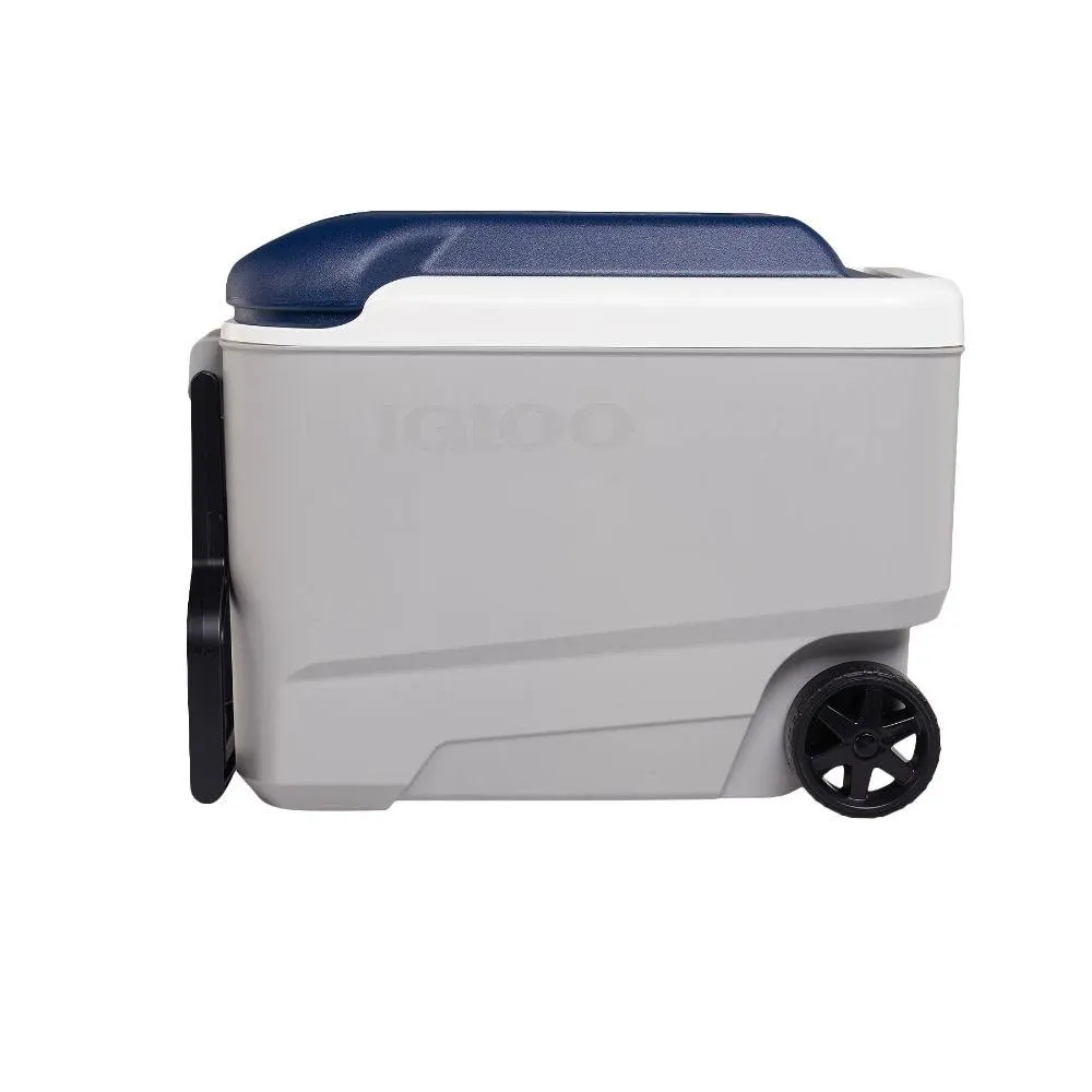 Igloo Maxcold 40 Cooler - Ash Gray