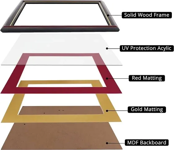 8.5X11 Diploma Frame with Red over Gold Mat or Display 11X14 Certificate without