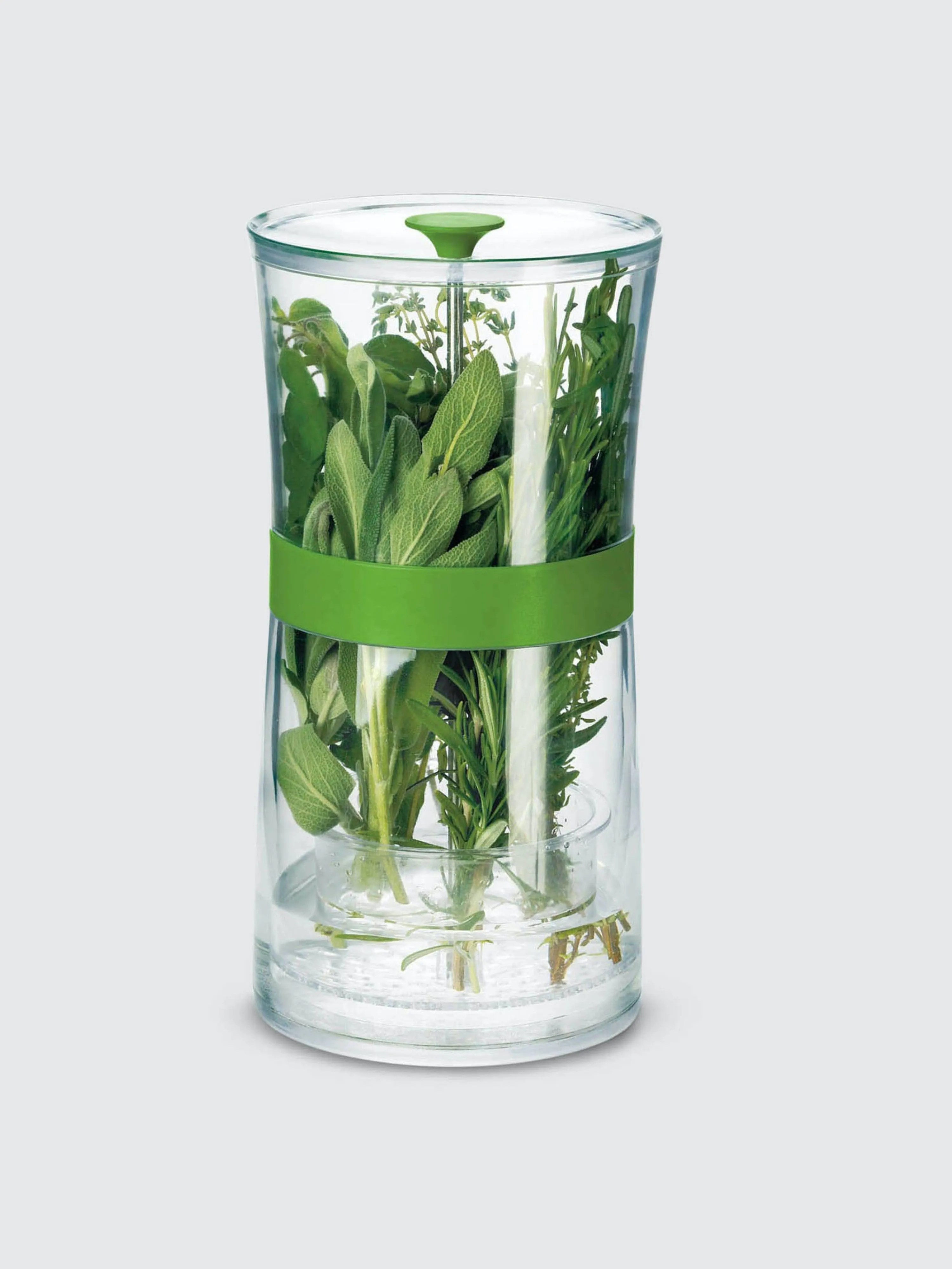 Cuisipro Herb Keeper, Large, Clear