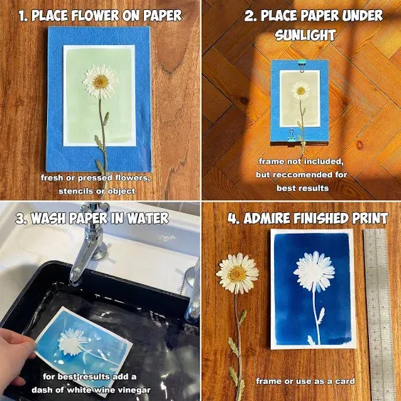 Cyanotype Kit:  Easy to use sun printing kit by Daisy Bow Craft