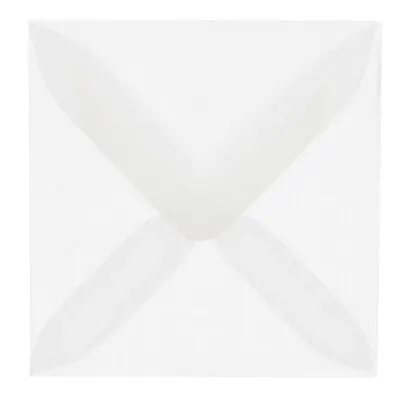 JAM Paper 6 x 9 Booklet Translucent Vellum Envelopes, Clear, 25/Pack (80538)