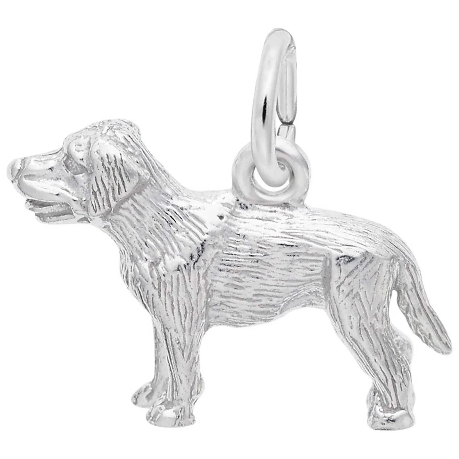 Rembrandt Labrador Retriever Charm, Sterling Silver