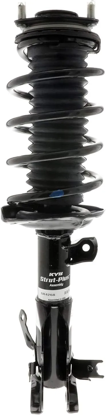 Strut and Coil Spring Assembly