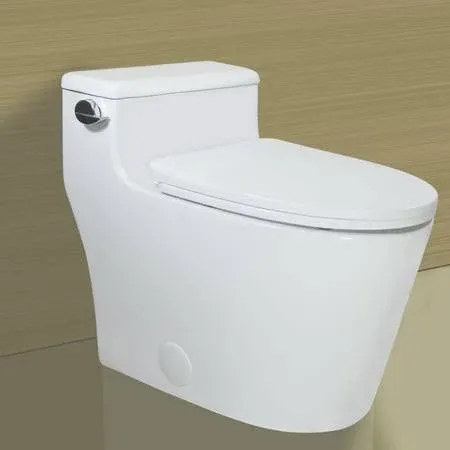 WinZo WZ5080 Elongated Dual Flush One Piece Toilet Low Profile 17.25" Comfortable Chair Height with Soft Closing Seat White