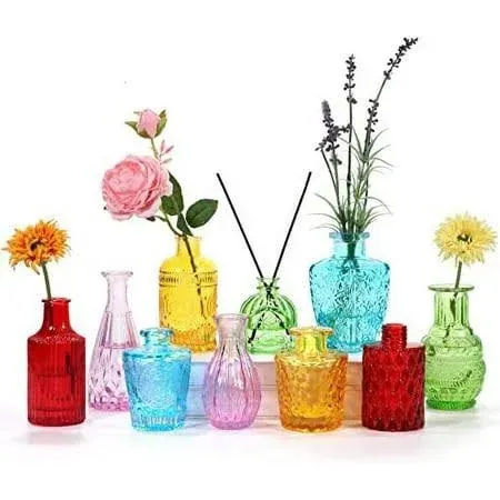 BIGIVACA Set of 10 Glass Bud Vases,Small Vases for Flowers,Colorf<wbr/>ul Single Bud