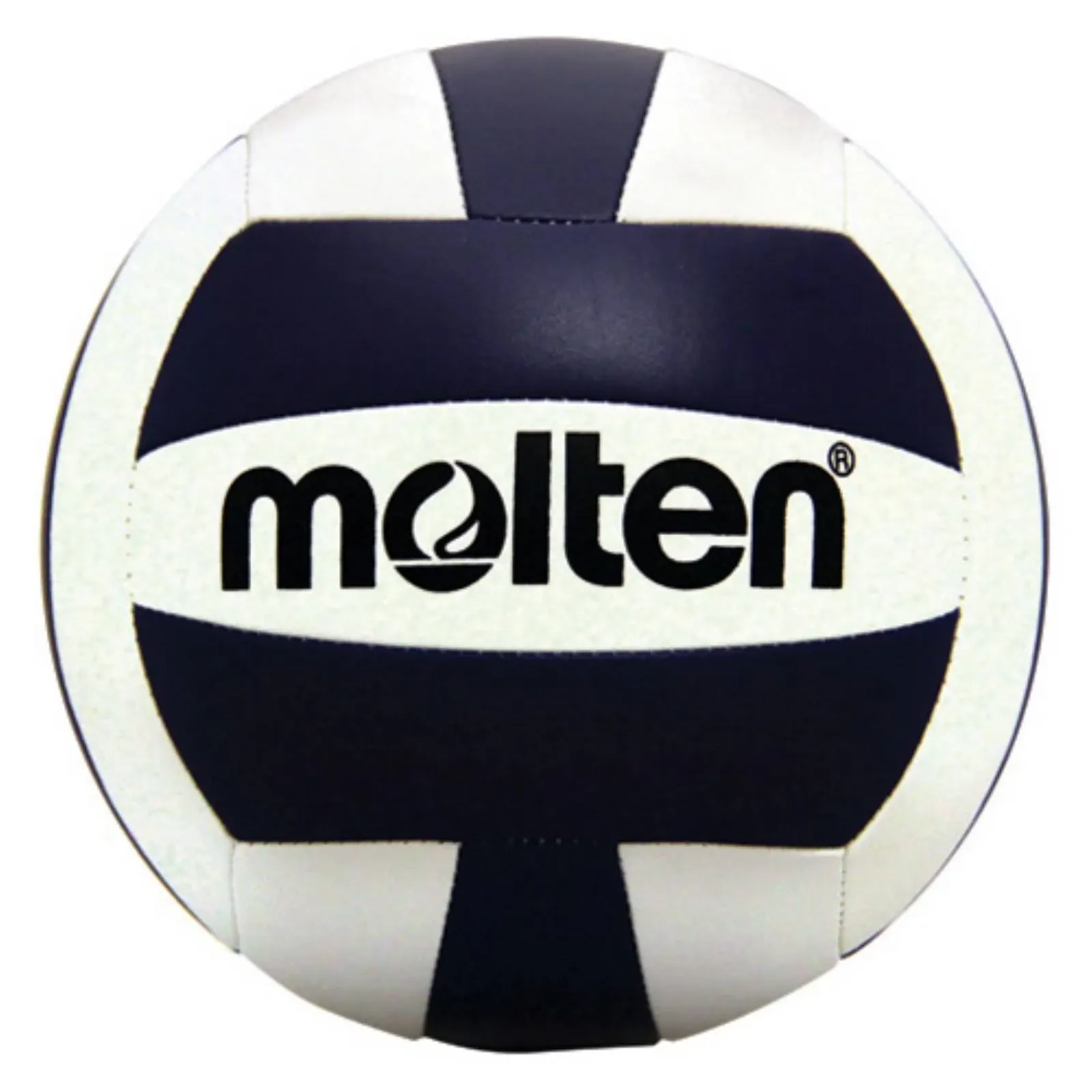 Molten Volleyball