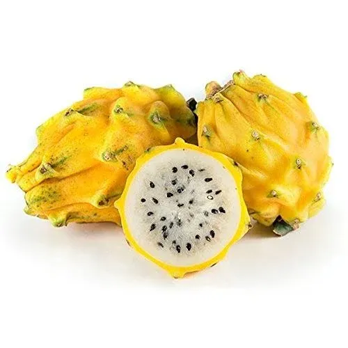 Greatplentifulshopusa Fresh -GPS-Yellow Dragon Fruits ( 4 counts)