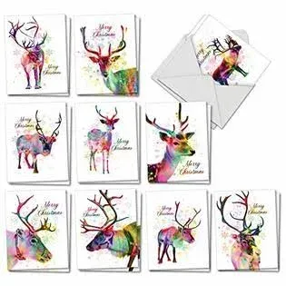 The Best Card Company - 20 Animal Christmas Cards Bulk (10 Designs, 2 Each) - Boxed Holiday Cards for Xmas, Kids (4 x 5.12 Inch) - Funky Rainbow Reindeer AM7377XSG-B2x10