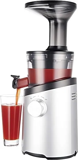 Hurom H101 Slow Juicer